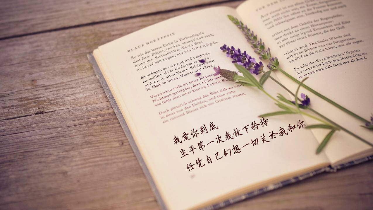 微信视频号粉丝-空间刷访客-刷QQ情侣空间-球球大作战刷粉
